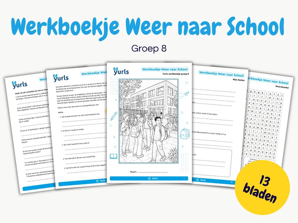 Werkboekje Weer naar School – werkbladen voor groep 8