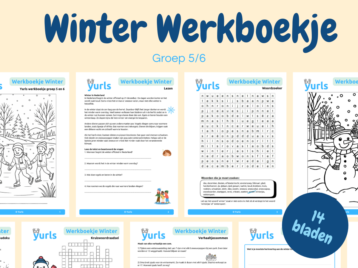 Werkboekje Winter – werkbladen voor groep 5/6