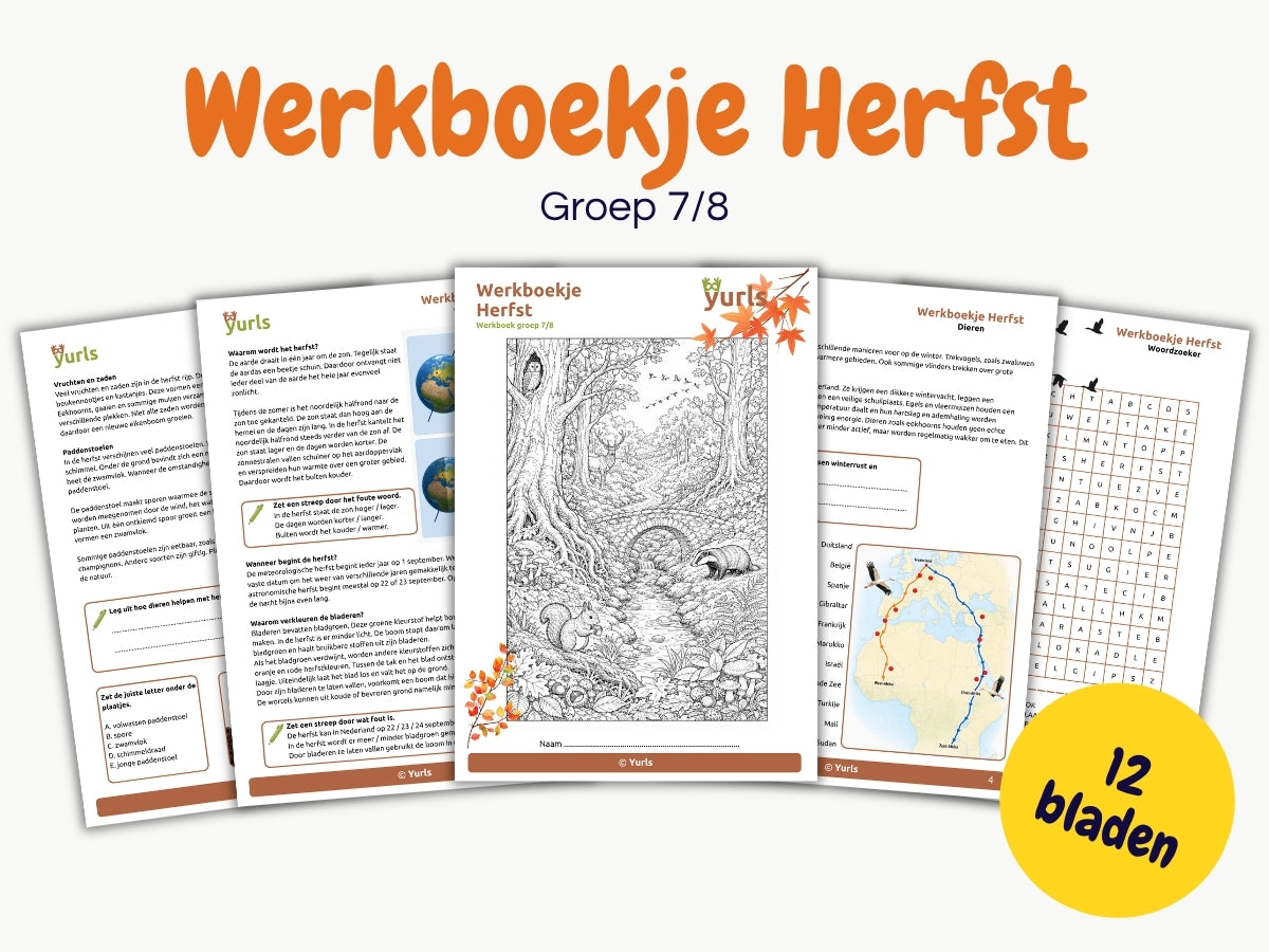 Werkboekje Herfst – werkbladen groep 7/8