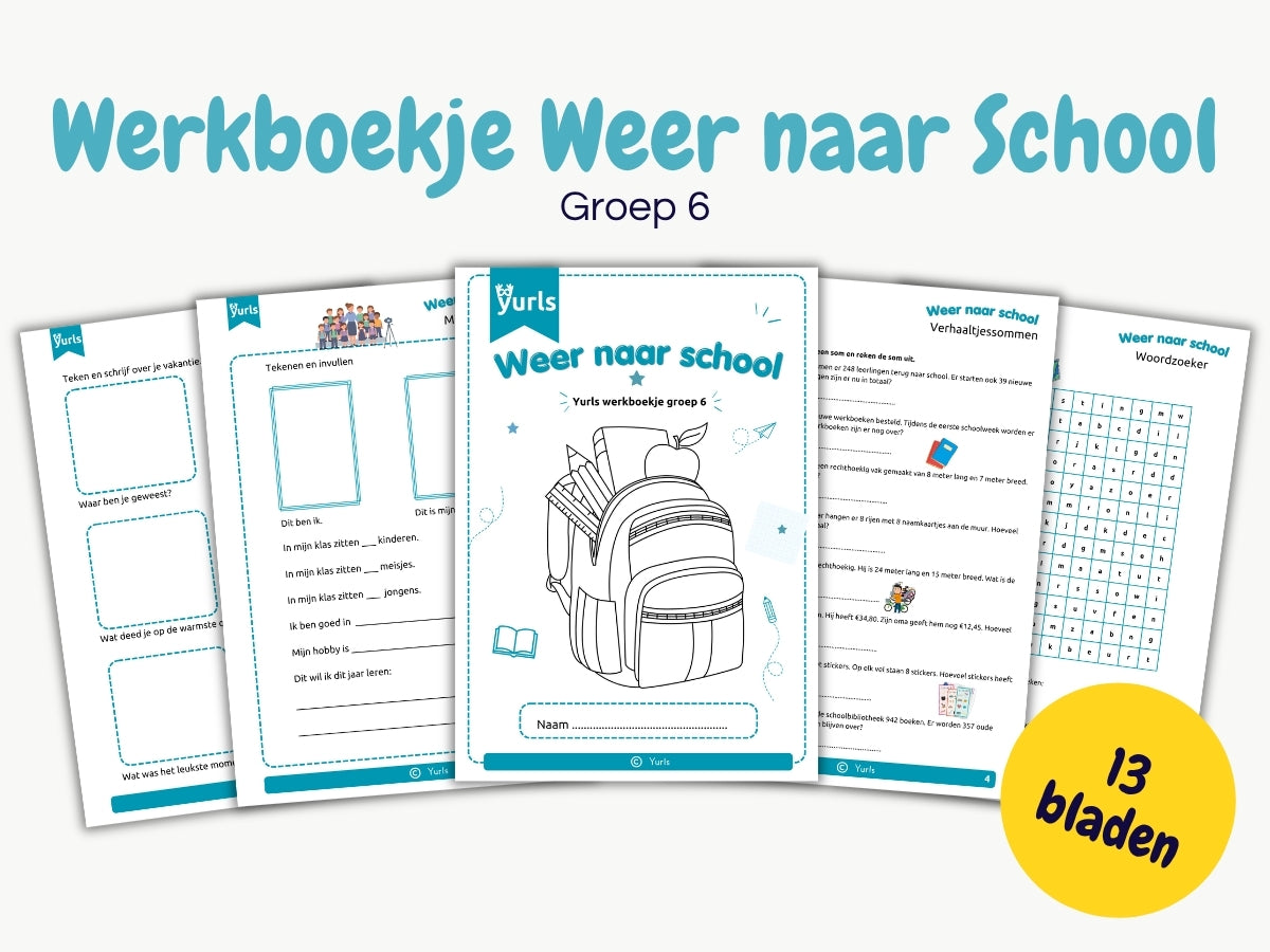 Werkboekje Weer naar School – werkbladen voor groep 6