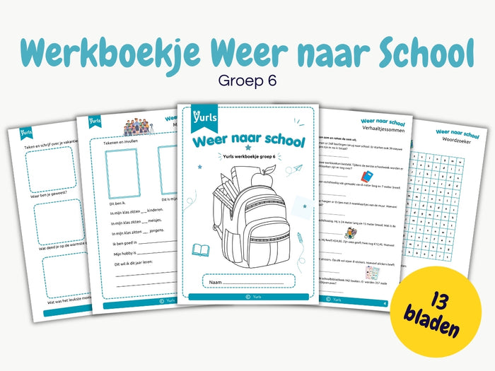 Werkboekje Weer naar School – werkbladen voor groep 6
