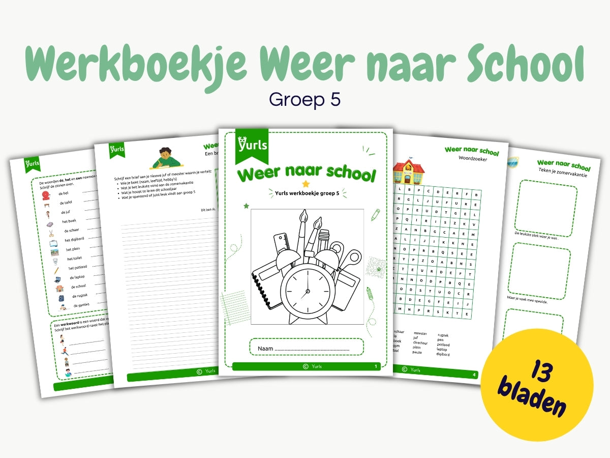 Werkboekje Weer naar School – werkbladen voor groep 5
