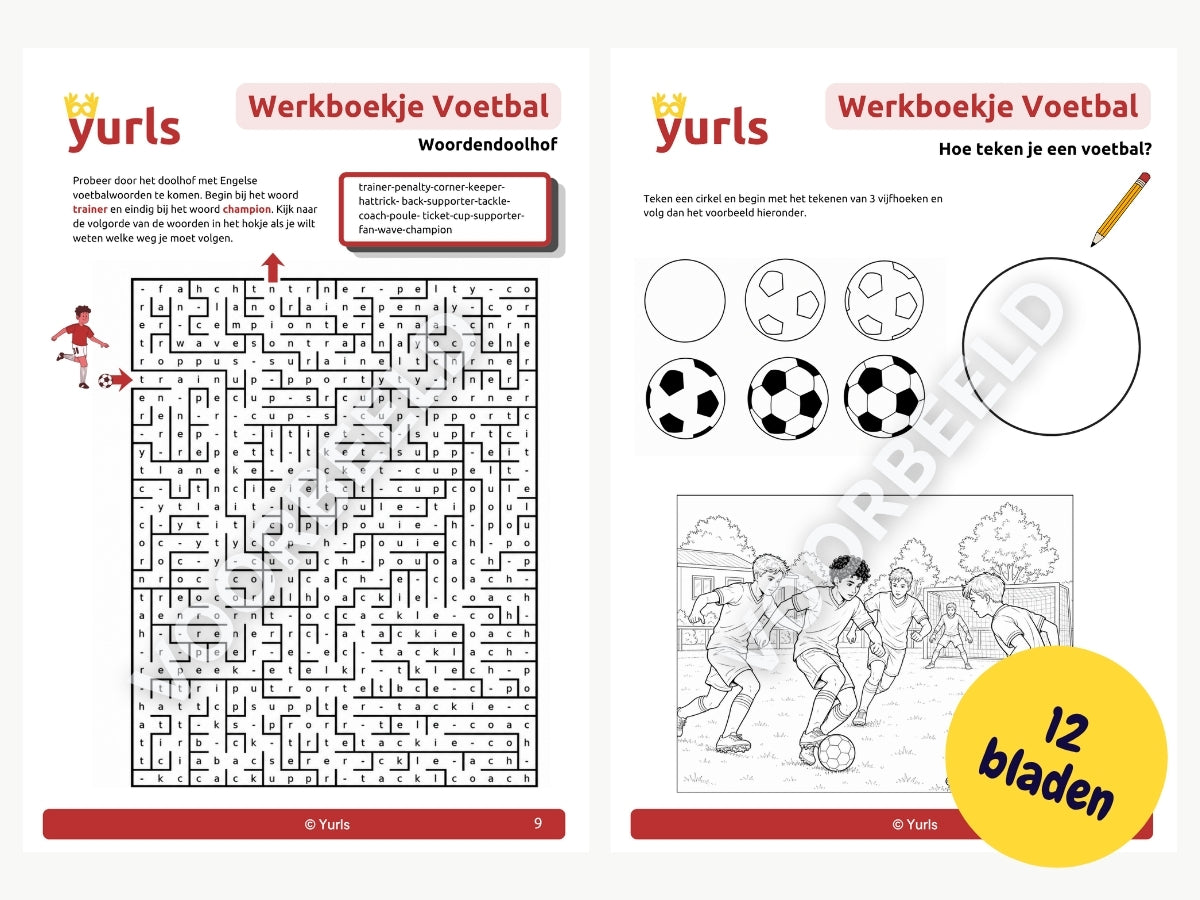 Werkboekje Voetbal België 5de en 6de leerjaar – werkbladen voor groep 7/8