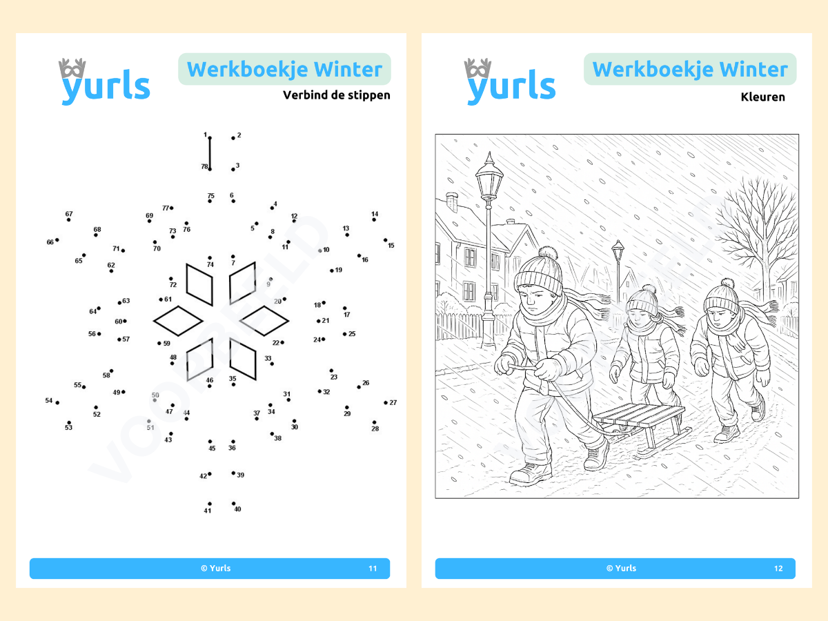 Werkboekje Winter – werkbladen voor groep 5/6